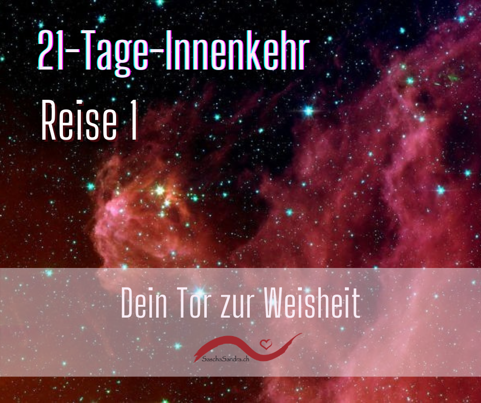 21-Tage_Gruppe_1.png
