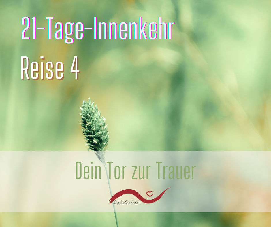 21-Tage_Gruppe_4.png